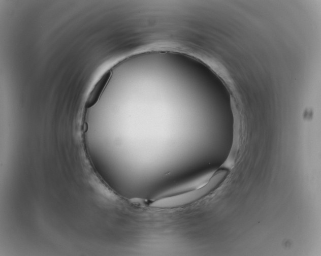 X0000096380912200802071510