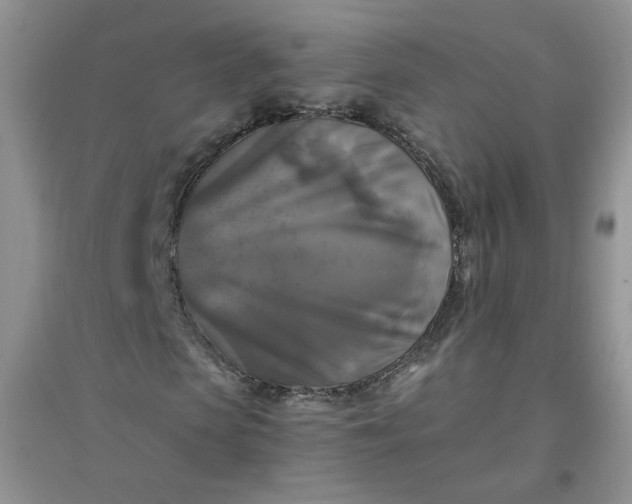 X0000096380913200802071510