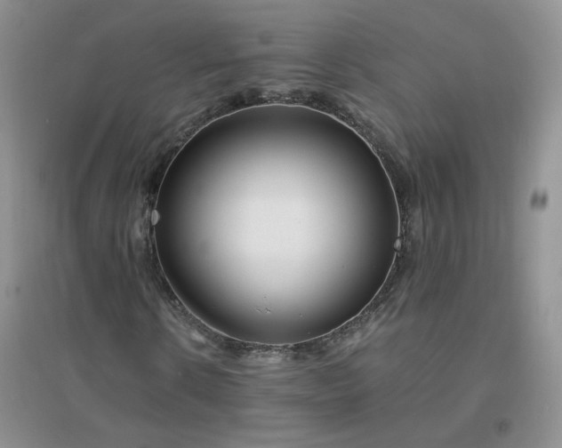 X0000096380914200802071510