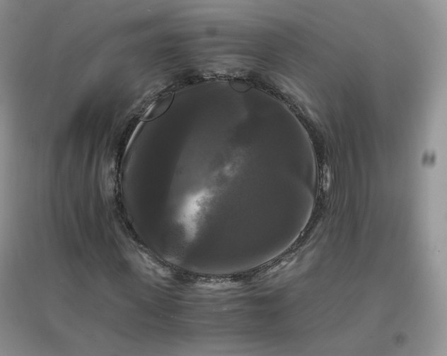 X0000096380915200802071510