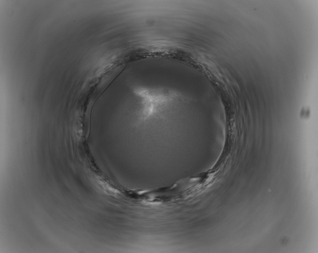 X0000096380916200802071510