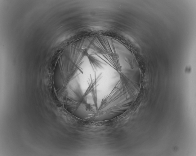 X0000096380917200802071510