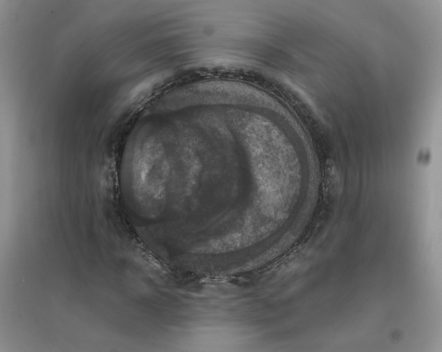 X0000096380918200802071510