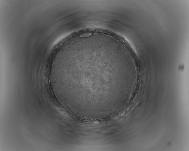 X0000096380919200802071510