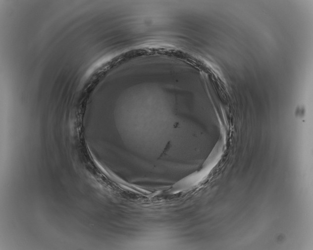 X0000096380920200802071510