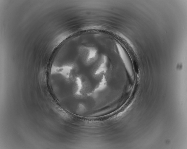 X0000096380921200802071510