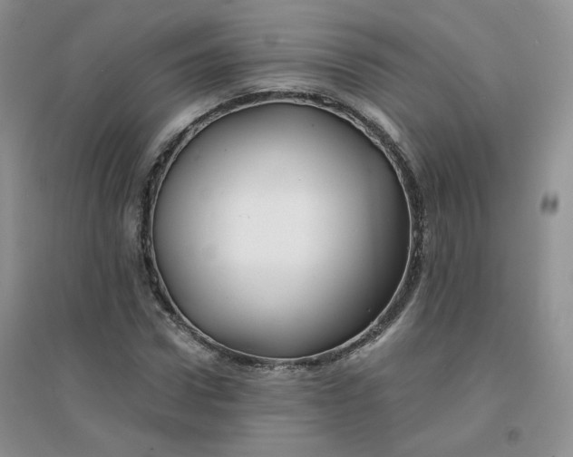 X0000096380922200802071510