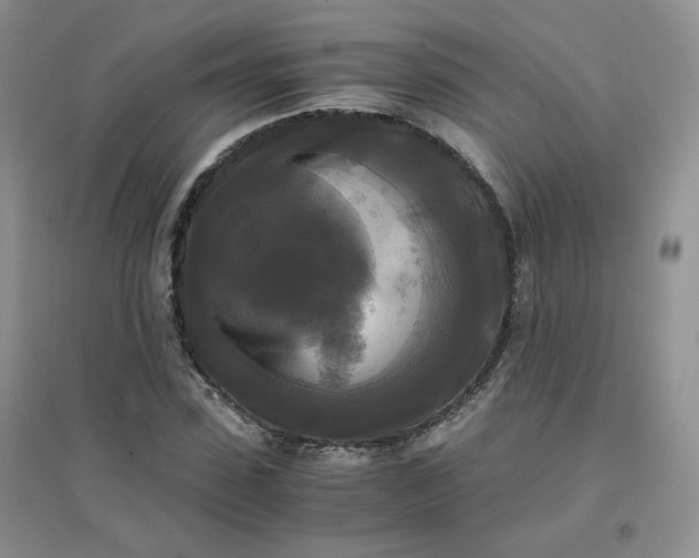 X0000096380923200802071510