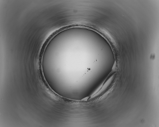 X0000096380924200802071510