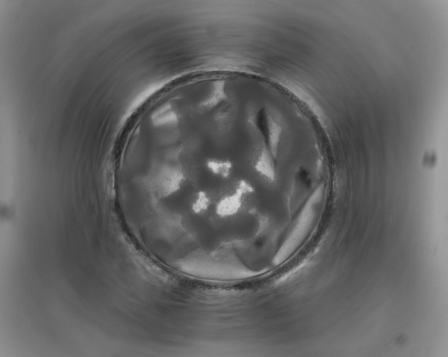 X0000096380925200802071510