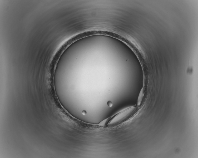 X0000096380926200802071510