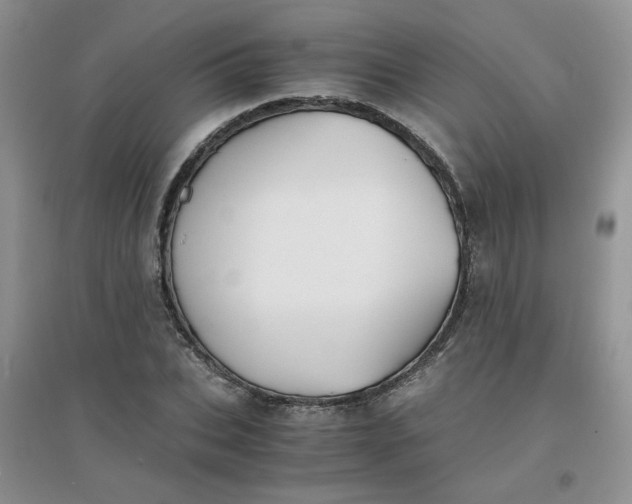 X0000096380927200802071510