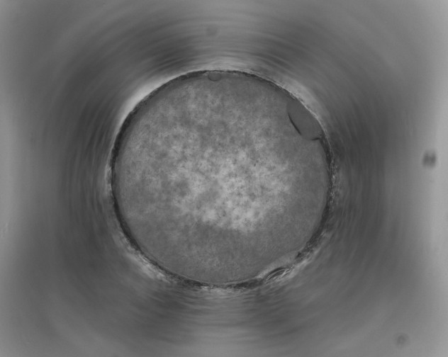 X0000096380928200802071510