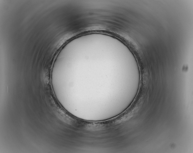 X0000096380929200802071510