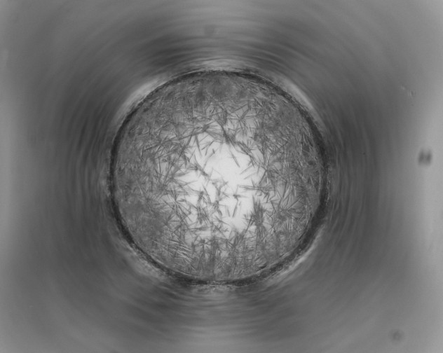 X0000096380930200802071510