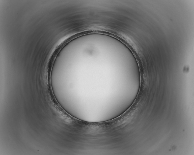 X0000096380931200802071510