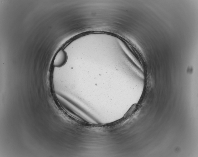 X0000096380932200802071510