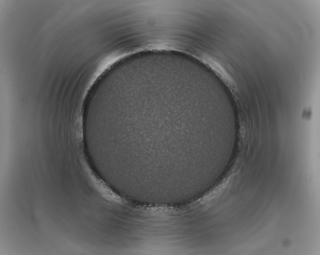 X0000096380934200802071510