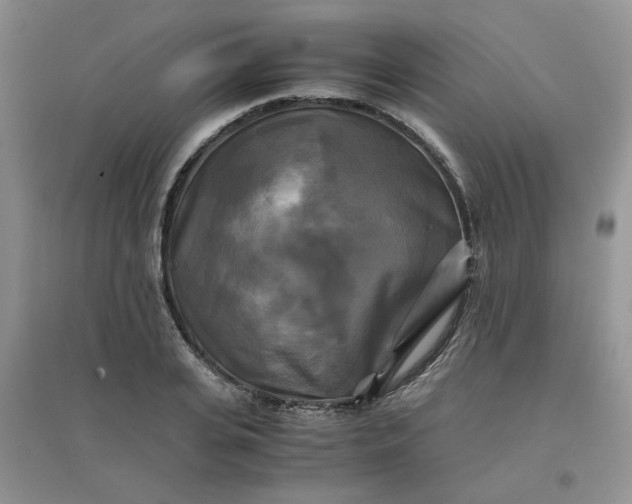 X0000096380935200802071510