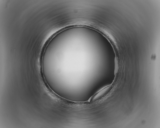 X0000096380936200802071510