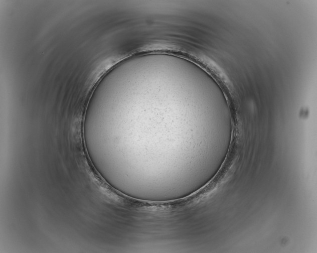 X0000096380937200802071510