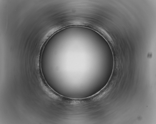 X0000096380938200802071510