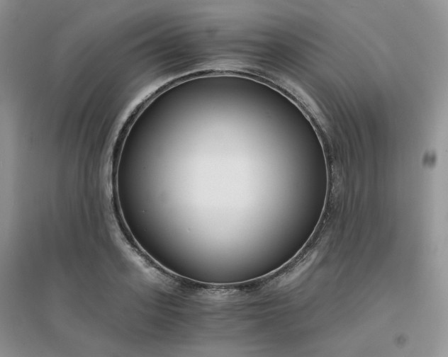 X0000096380939200802071510