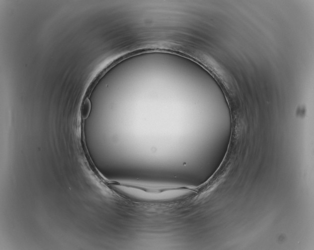 X0000096380940200802071510