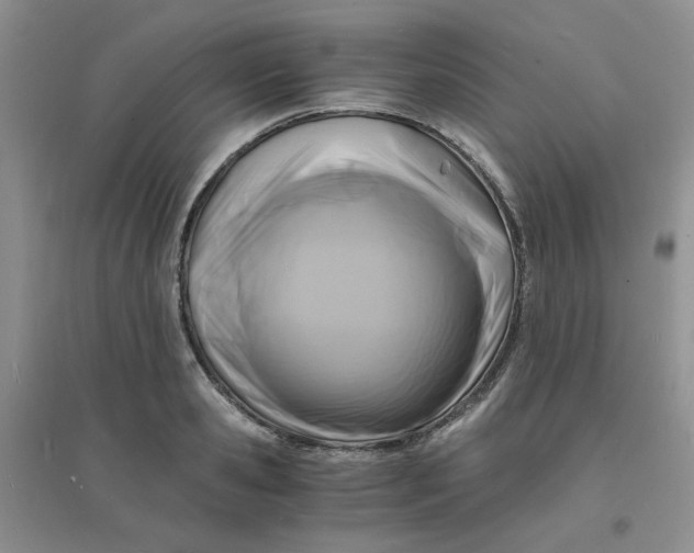 X0000096380941200802071510