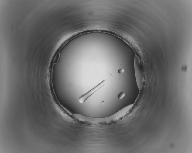 X0000096380942200802071510