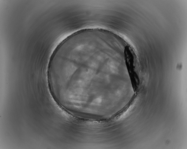 X0000096380943200802071510