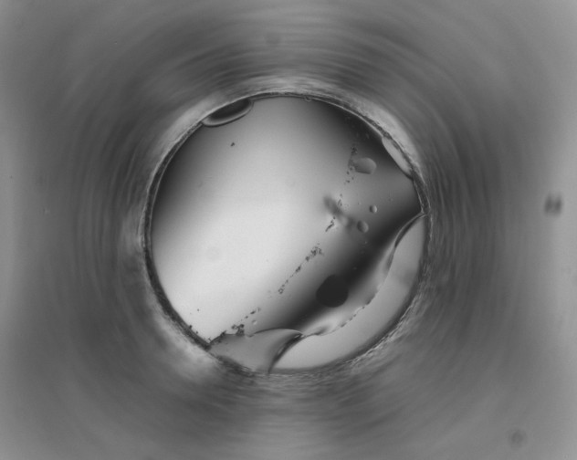 X0000096380946200802071510