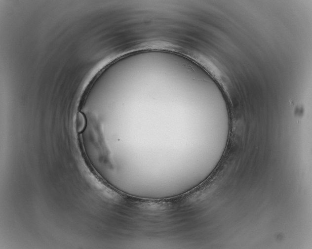 X0000096380947200802071510