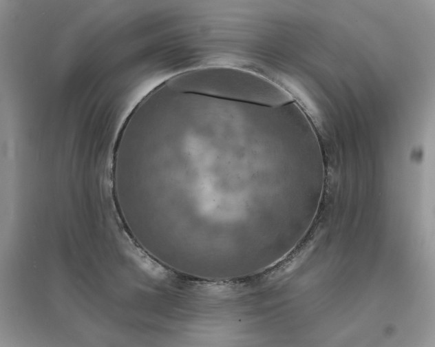 X0000096380948200802071510