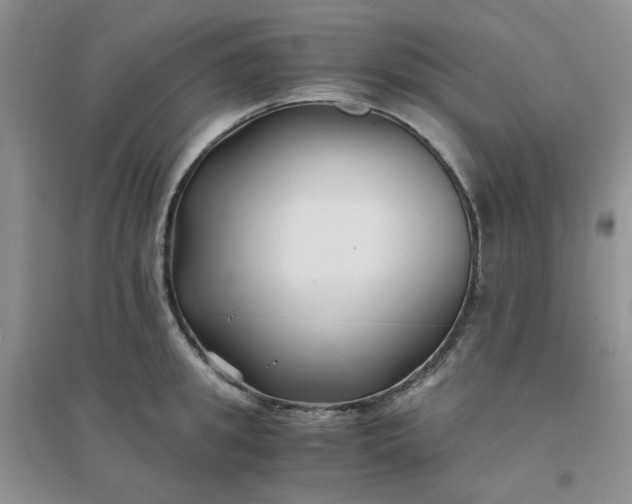 X0000096380949200802071510