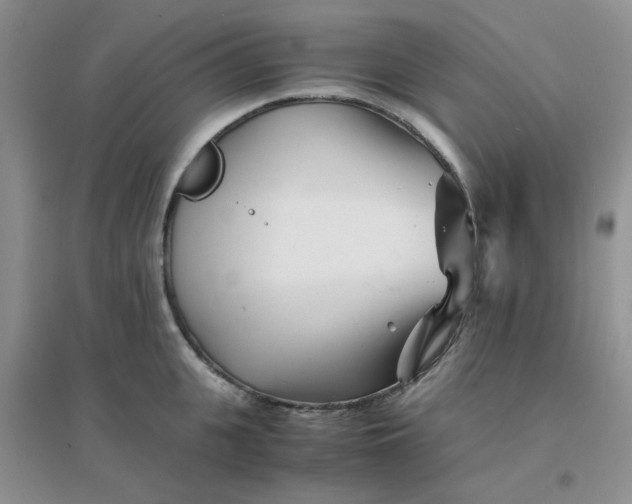 X0000096380951200802071510