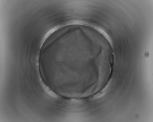 X0000096380954200802071510