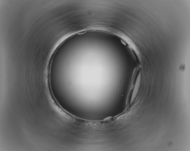 X0000096380955200802071510