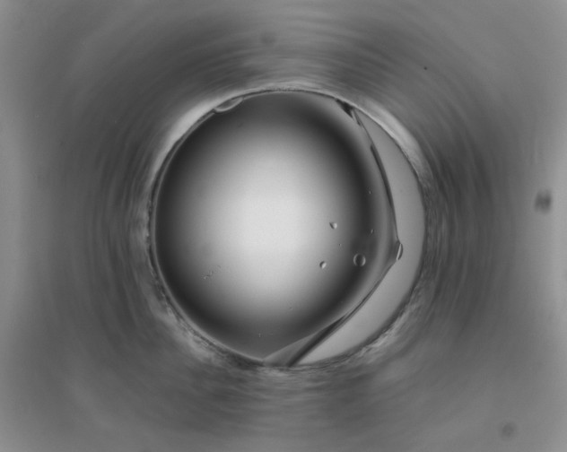 X0000096380956200802071510