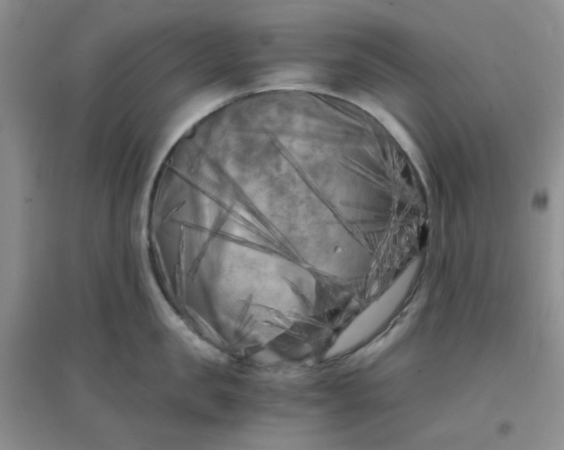 X0000096380957200802071510