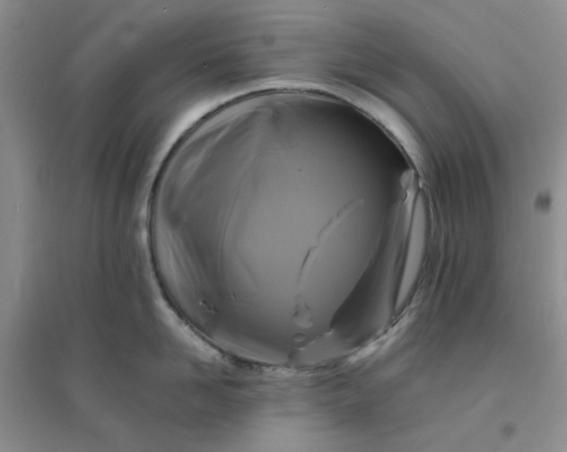 X0000096380958200802071510