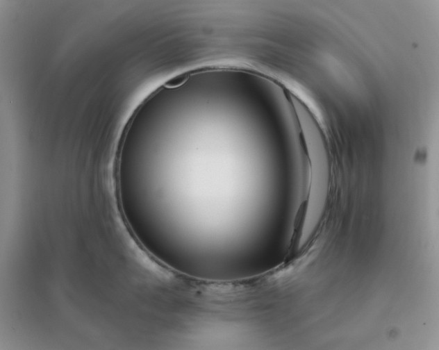 X0000096380959200802071510