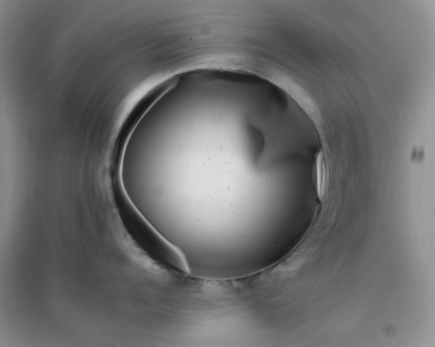 X0000096380960200802071510