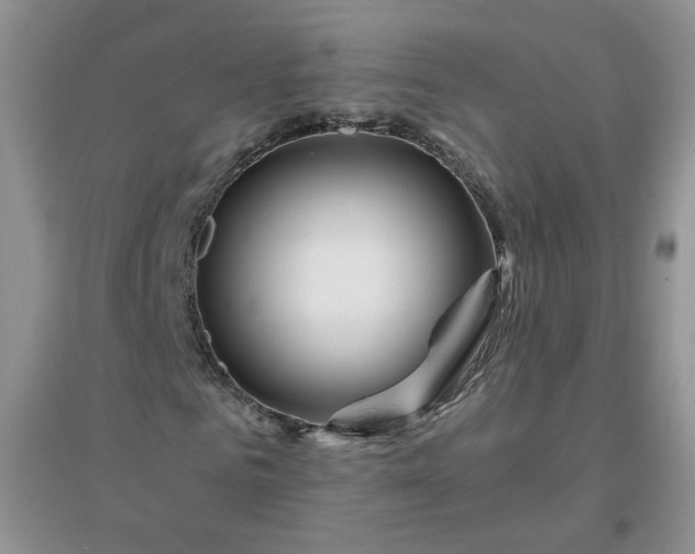 X0000096380961200802071510