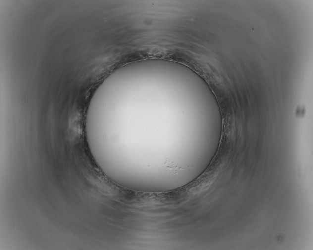 X0000096380962200802071510