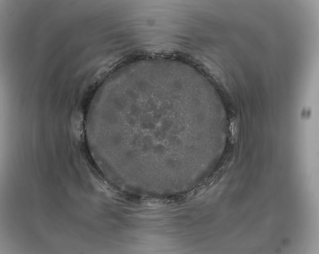 X0000096380963200802071510