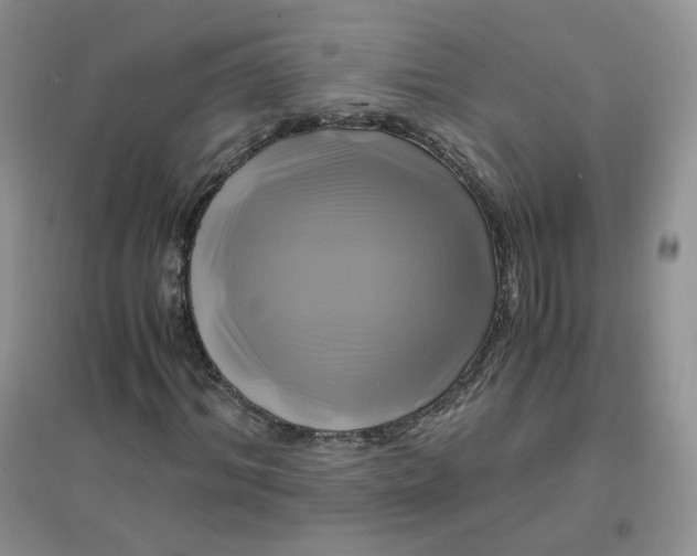 X0000096380964200802071510