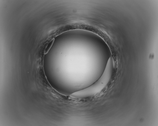 X0000096380965200802071509