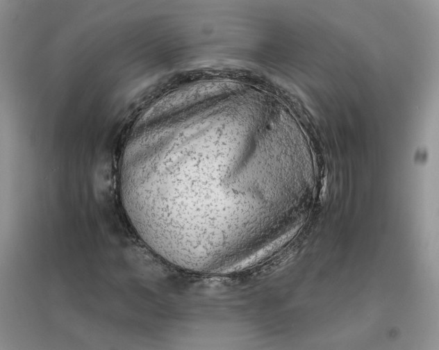 X0000096380966200802071509