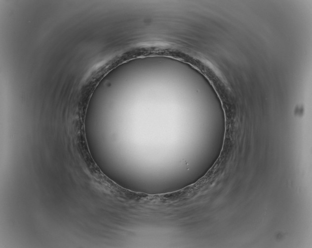 X0000096380967200802071509